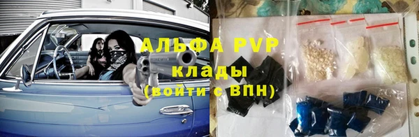 дмт Ельня