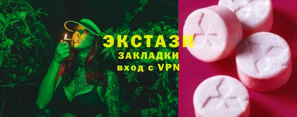 дмт Ельня