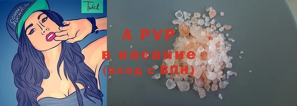 дмт Ельня