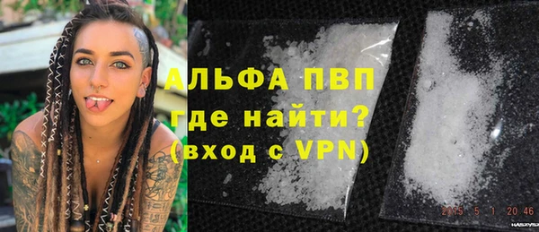 дмт Ельня