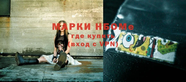дмт Ельня