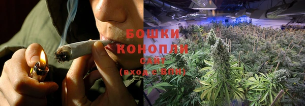 дмт Ельня