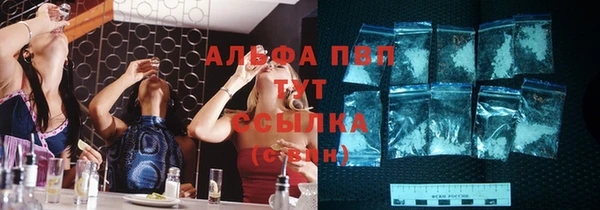 дмт Ельня