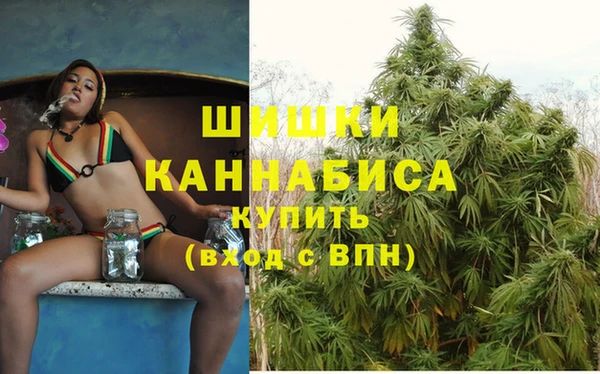 дмт Ельня